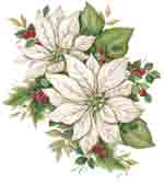 White Poinsettia Bits
