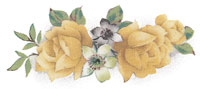 Roses - Yellow Muted