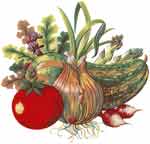 Vegetable Orchard - Tomato,Onion, Squash