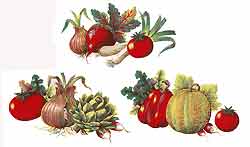 Vegetable Orchard - Tomato, Pepper, Melon, Artichoke