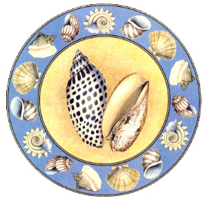 Seashells Collection