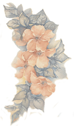 QUEENSWAY - Peach colored florals