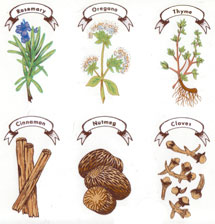 Herbs- Rosemary, Oregano, Thyme, Cinnamon, Nutmeg, Cloves