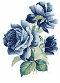 Roses - Blue