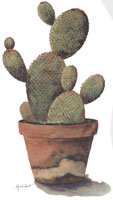 Cactus Bit