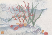 Coral and Sea Shells Tray-Mural