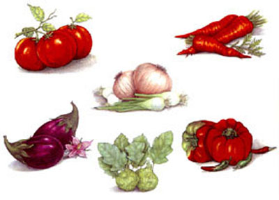 Vegetable Variety - Tomato, Onions, Peppers, Carrots, Kohlrabi, Eggplant