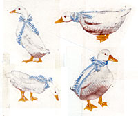 Ducks with blue ribbons - 4 pc set