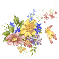 Yellow, pink, blue flowers with butterfly