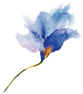 Blue Watercolor Flower