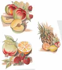 Bahama Fruits, Strawberry, Apples, Raspberry, Pineapple, Lemon, Orange, Pomgranite