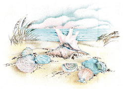 Crystal Seashell Beach Mural with Gold