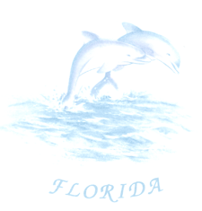 Dolphins-Florida