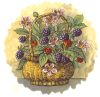 Wild Fruit Basket - Blackberry