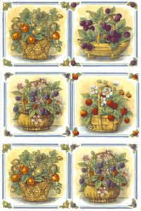 Wild Fruit Basket - Gooseberry, Strawberry, Blackberry, Blueberry