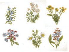 Herbs, Rosemary, Chamomile,Borage,Mustard,Coriander,Sage Bits