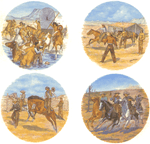 Rodeo,Horse and Cattle