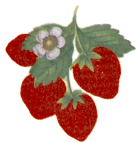 Strawberry Bits