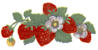 Strawberry Bits