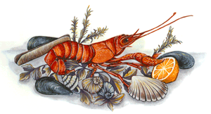 Sea Feast - Shrimp