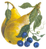 Fruits- Pear and Blueberry Blueberries