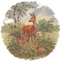 Doe & Fawn - Deer