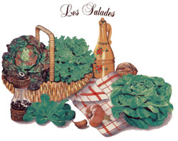 Les Salades, Lettuce, Garlic, Vinegar