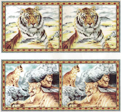 Cats - Big Cats - Lion, Tiger, Leopard, Puma