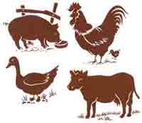 BROWN FARM ANIMALS -  COW, DUCK, ROOSTER, PIG