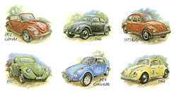 Cars VW Volkswagon Beetles