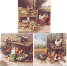 Chicken and Rooster Accent Set of 3