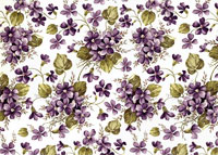 VIOLET OVERALL CHINTZ