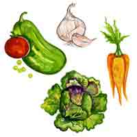 Vegetables. Garlic, Cucumber, Tomatoe, Lettuce, Carrots Bits