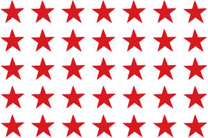 Overall Design - RED Star Chintz