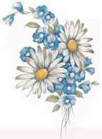 White Daisies and Blue Flowers