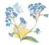 Spring Morning - Blue Flowers