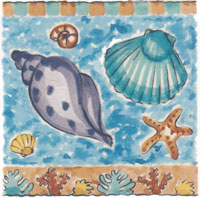 Sealife - Shells