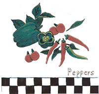 Peppers - With Checked border