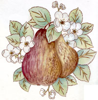 Fruit - Pears with Blossoms