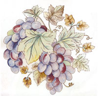 Fruit - Grapes