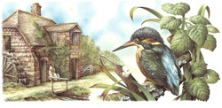 English Cottage and Kingfisher Bird Wrap