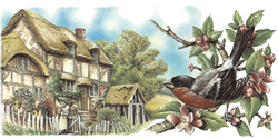 English Cottage and Bullfinch Bird Wrap