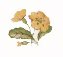 Yellow Flower Bits