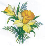 Daffodils - 8 Per Sheet
