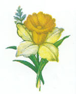 Daffodils - 12 Per Sheet