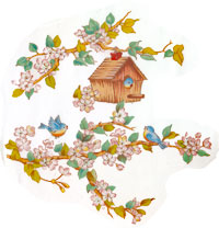 Bluebirds, Bird House, Dogwood Branches