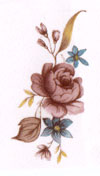Hampshire Rose