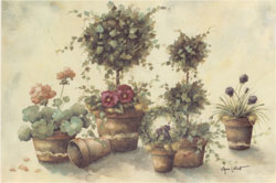 Topiary with Pansies and Geraniums with Background