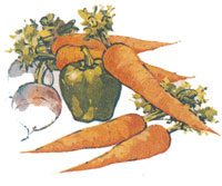 Carrots, Turnips, Green Pepper