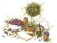 Bowl of Cherries Topiary with Pansy, Blueberries, Ivy